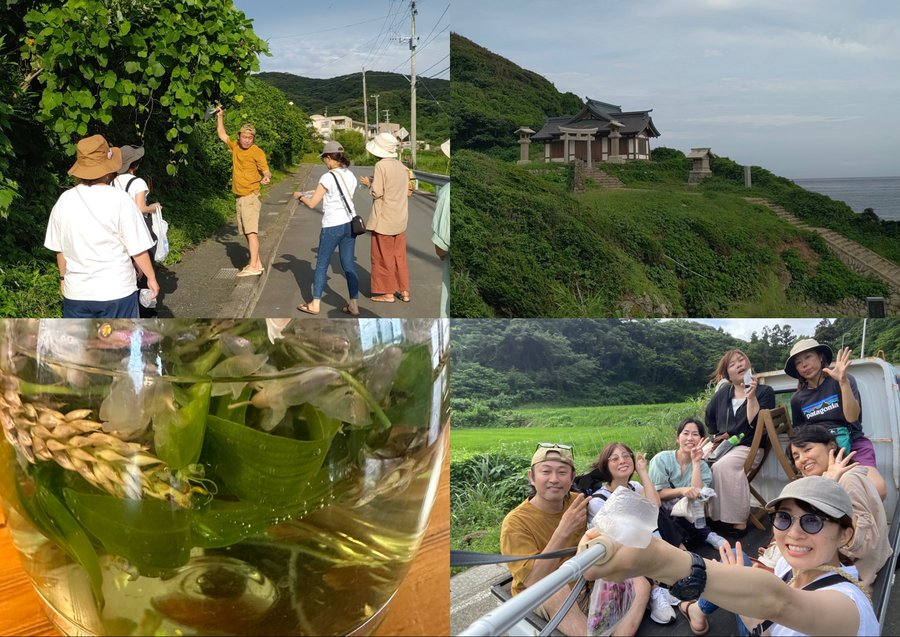 野草摘み・地域散策